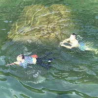 ��9.2��������ʯ��Ŵ��䣬��ȻӾ��Ϸˮ��