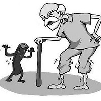 ʮ���˹�ͷ�ױ�࣡��һ�־����������ߣ�