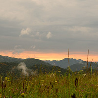 ����ʮһ������ũ��ͽ����Խ��Ѱ��Ұ����ӡ��