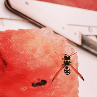 �½��ջ�12�ռ����