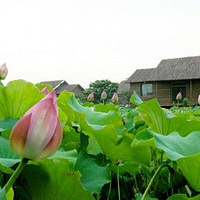 �������������Ƽ�