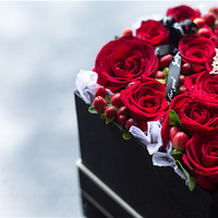 ������ѵѧУ �ɹ���������ʦ��ѡ��ѧУ