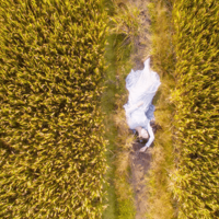 ����9.30-10.6����һ���ط��а��ϲ�ԭ����������������ȥ��