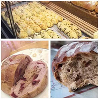 ̽�������