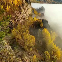 ���ڵĺ��ױ���