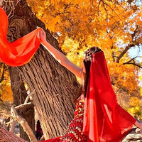 ���������������������