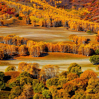 ������ϲ�ԭ��9.30-10.6��С���������ļ