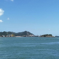 ʮһ�����ɽ��