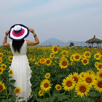 ��ƽ����С�����տ�����