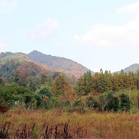 ��֯����Ǹ���Զ������Ŀɽ