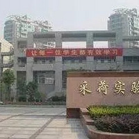 ��Щ���������У����ֲ����ĸ�����