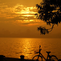 ������������