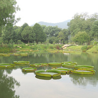 ����ֲ��԰֮Ǿޱ԰��԰