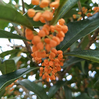 �ﶬ���Ⱥ����θůθ