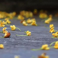 ���죬�ǹ�ζ����