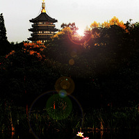 ����Ų���������