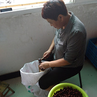 �����ζ��