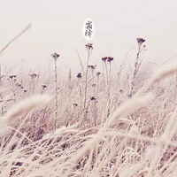 ��Х������¶��Ϊ˪ح˪�����ĳԺò裬������