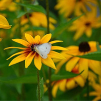 ���ܹ���