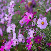 �������ĵ�Сʱ�⣬���㹲��ҹ�������������