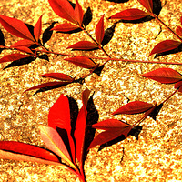 ����ʰ��