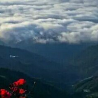 11��20�Ž�齭��ƻ���书ɽ ͽ�� ¶Ӫ ���ƺ�  ������