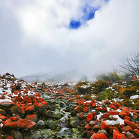 80��2λ��ʿ��11��4�Ž��أ�ȥ�����Ƕ�����֥������