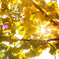 ��ָ�ϴ塹11.05�����ٴ��ŵ����ͽ���������