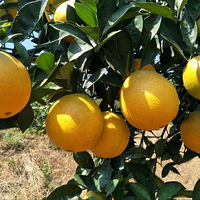 һ�������ܲ���ܶ�ά���أ����