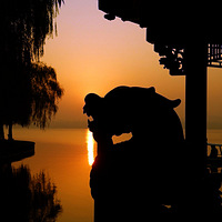 �׵̿��ճ�  ����