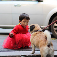 ��������С����