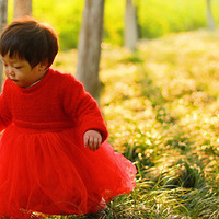 �������