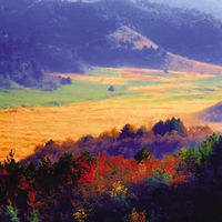 ���������㡿11.11�� �ٰ�����ɽ����ɫ ��ս�߿�ջ��