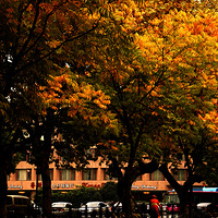 ����  ��Ϫ����