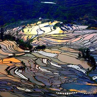 �紺����Լ�ɣ�����ųǣ��Ͳ˻�����Ȫ���ٲ�.....