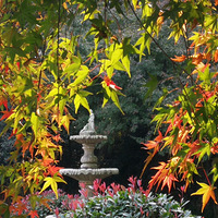 ���յ����⣬��ů��˭��