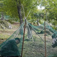 �����ζ��