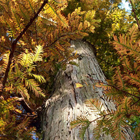 11.11 ��һ���ຼ�����ֳ�Լ����У�