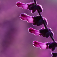 Ǯ�����ͳǵĻ���