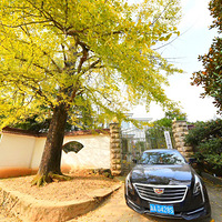 �������ӳ���| 11.19�����գ�����ʮ���ƣ�������Ҷ֮����