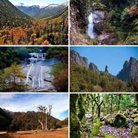 12��1����Լ�ڳ����Ӵ��ŭ����Ͽ�������