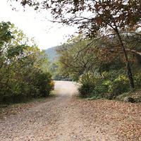 ���ܲ���