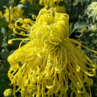 �й��Ĵ������D�D�ջ��������ˣ�����