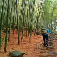 12��3��  ͽ�����ѹŵ� ��������������ɼ�� ��һ��һ