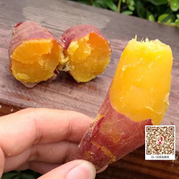 ϲ������ʳ�Ŀ�����Ŷ��