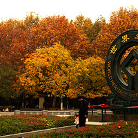 ��  �ｻ��