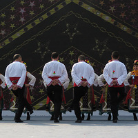 ���������赸