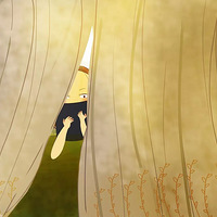 ���Ǻ�����һ�ֲ������Σ�