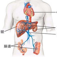 һ���������ڸ�����ױ��ţ����Ҿ�������˺��ң�