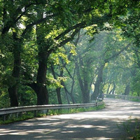2017��12��2�գ�������С���������ֲ��̽����ι����α���